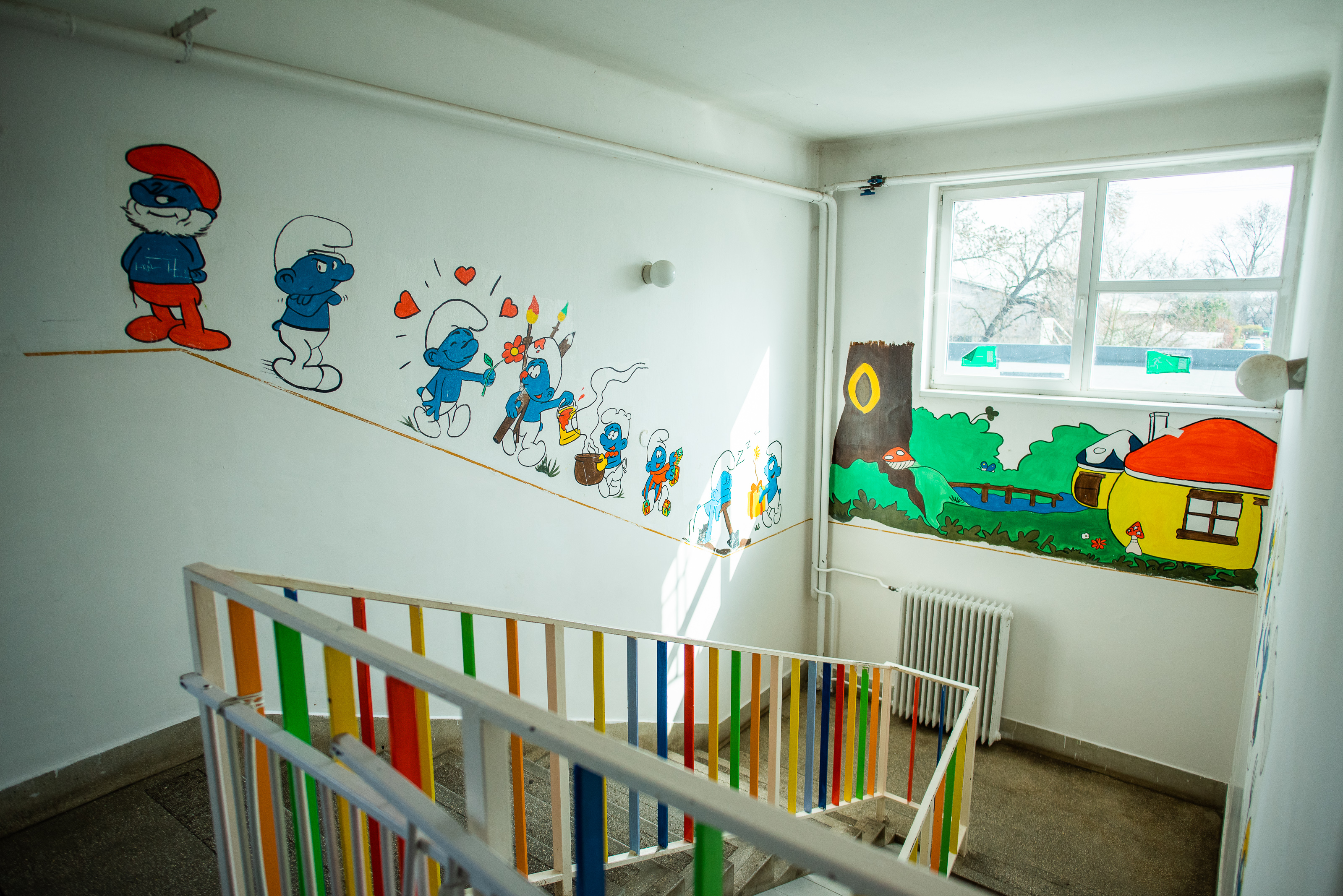 illusztracio wohner orsi 1